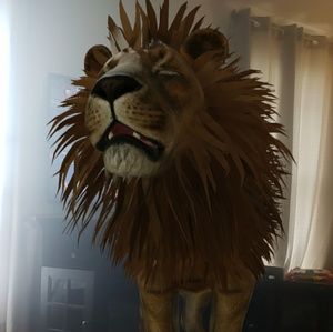 Meet your Posher, Katherine